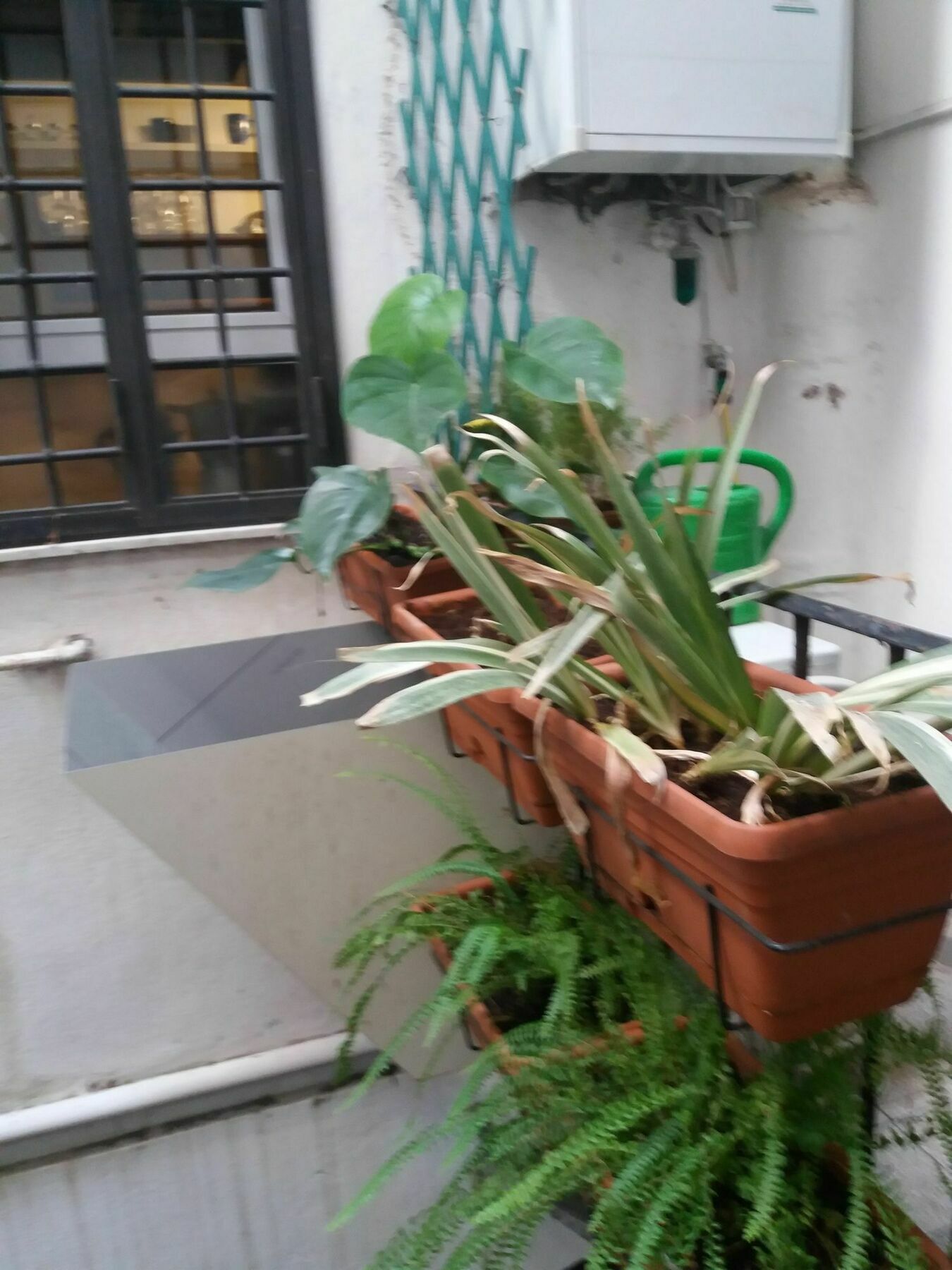 Campofiori Apartment Rome Exterior photo